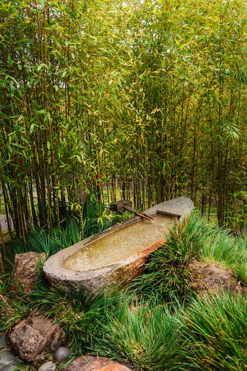 湖南郴州旅游景点推荐，探索美丽的东江湖风景区